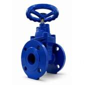 Registro V�lvula Gaveta Ferro Fundido Flangeada PN16 DN 50