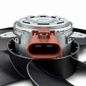 Ventoinha Radiador e Motor Ford EcoSport 1.6 16V 2012 a 2020
