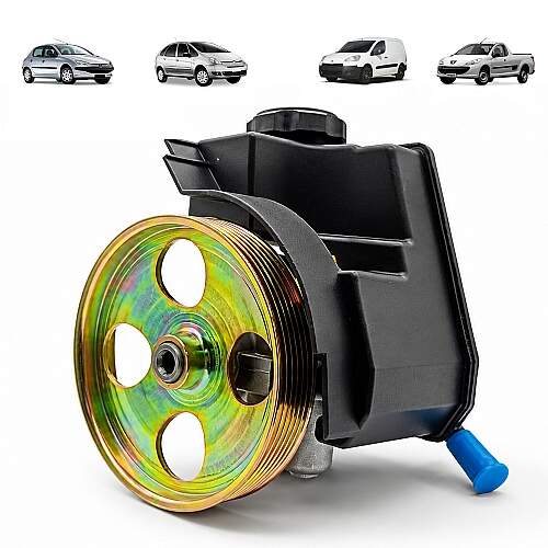 Bomba Direção Hidráulica Peugeot 206 207 1.4 8v / 1.6 16v 9685834880