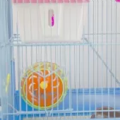 Gaiola Labirinto para Hamster 2 Andares - 38x35x28 cm