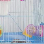 Gaiola Labirinto para Hamster 2 Andares - 38x35x28 cm