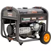 Gerador a Gasolina 9kva Trifásico 220-380v 60hz - NG10000E3D