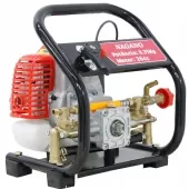 Pulverizador Agrícola 26cc a Gasolina 2 Tempos Mangueira 15m