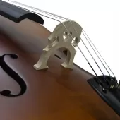 Violoncelo 4/4 Arco e Breu com Case - TANDER