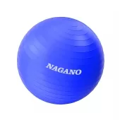 Bola Pilates Suíça 55cm Yoga Abdominais 200kg com Bomba Inflável