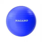 Bola Pilates Suíça 55cm Yoga Abdominais 200kg com Bomba Inflável