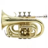 Trompete Pocket BB Laqueado - Tander