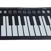Teclado Piano Musical Flexivel Roll Up - Tander