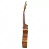 Ukulele Soprano 21 Pol com Case - Tander
